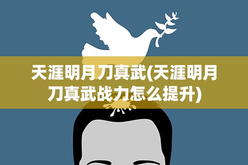 天涯明月刀真武(天涯明月刀真武战力怎么提升)