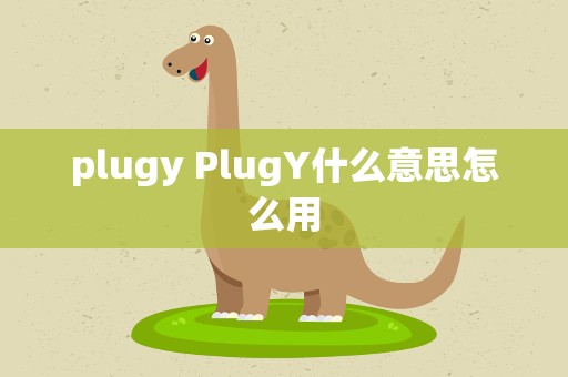 plugy PlugY什么意思怎么用