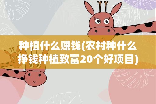 种植什么赚钱(农村种什么挣钱种植致富20个好项目)