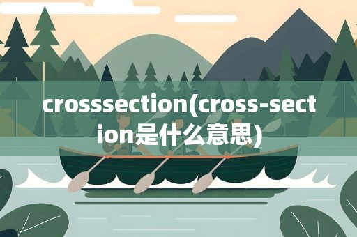 crosssection(cross-section是什么意思)