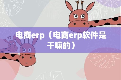 电商erp（电商erp软件是干嘛的）