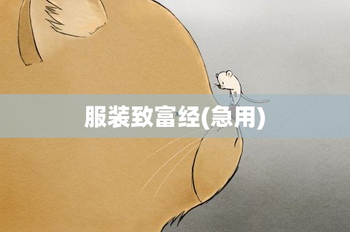 服装致富经(急用)