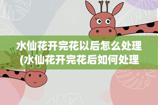 水仙花开完花以后怎么处理(水仙花开完花后如何处理)