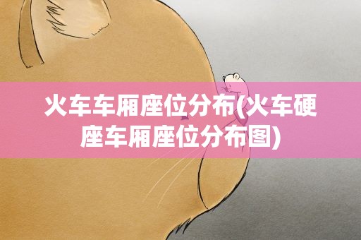 火车车厢座位分布(火车硬座车厢座位分布图)