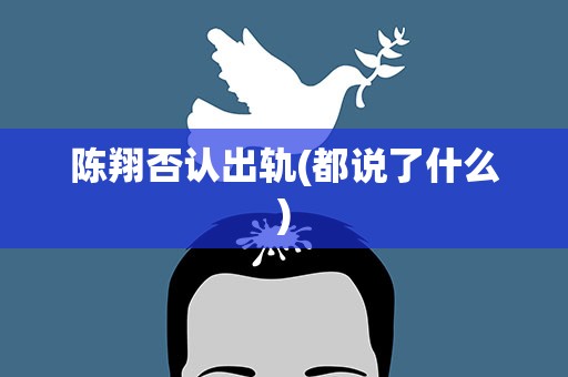 陈翔否认出轨(都说了什么)