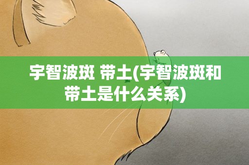 宇智波斑 带土(宇智波斑和带土是什么关系)