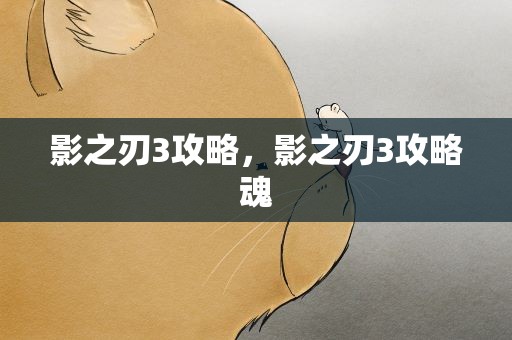影之刃3攻略，影之刃3攻略魂