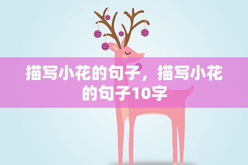 描写小花的句子，描写小花的句子10字