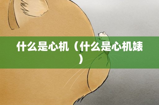 什么是心机（什么是心机婊）