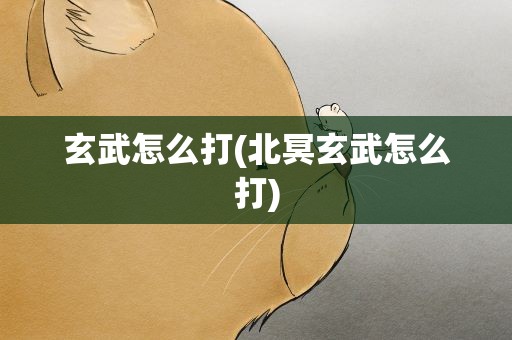 玄武怎么打(北冥玄武怎么打)