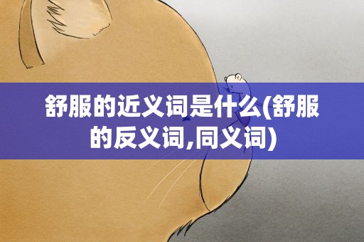 舒服的近义词是什么(舒服的反义词,同义词)