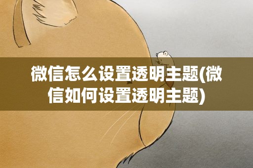 微信怎么设置透明主题(微信如何设置透明主题)