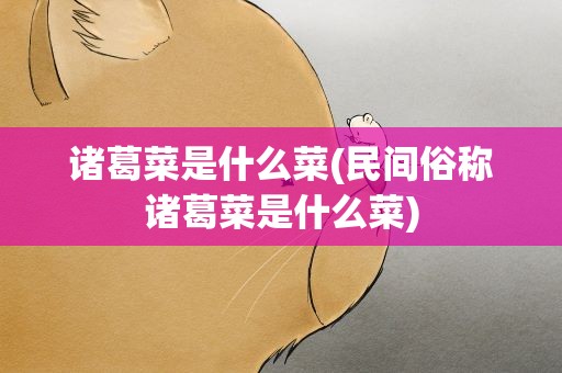 诸葛菜是什么菜(民间俗称诸葛菜是什么菜)