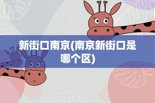 新街口南京(南京新街口是哪个区)
