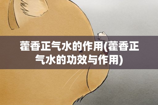 藿香正气水的作用(藿香正气水的功效与作用)