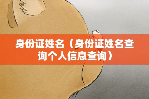 身份证姓名（身份证姓名查询个人信息查询）