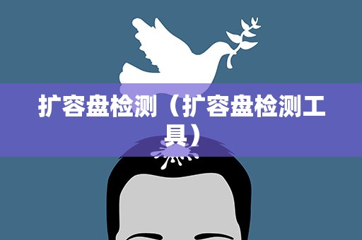 扩容盘检测（扩容盘检测工具）