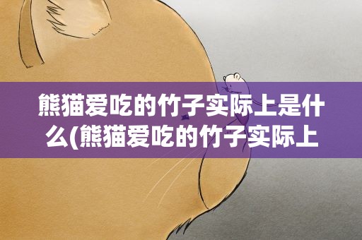 熊猫爱吃的竹子实际上是什么(熊猫爱吃的竹子实际上是什么)