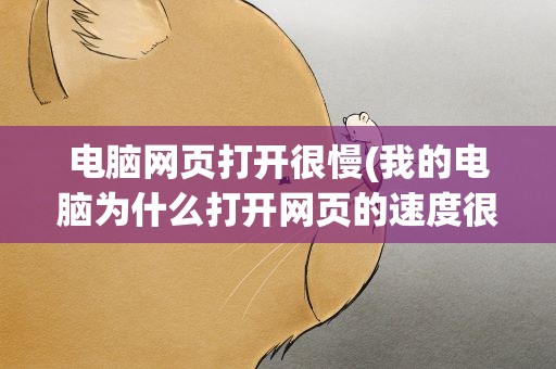 电脑网页打开很慢(我的电脑为什么打开网页的速度很慢有什么解决方法)