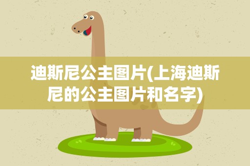 迪斯尼公主图片(上海迪斯尼的公主图片和名字)