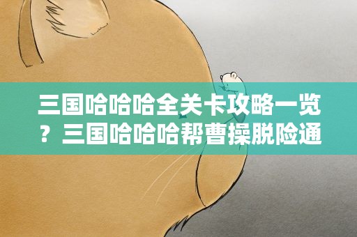 三国哈哈哈全关卡攻略一览？三国哈哈哈帮曹操脱险通关攻略
