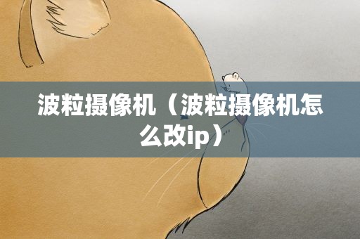 波粒摄像机（波粒摄像机怎么改ip）