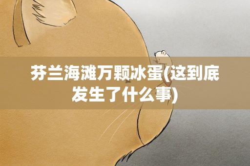 芬兰海滩万颗冰蛋(这到底发生了什么事)