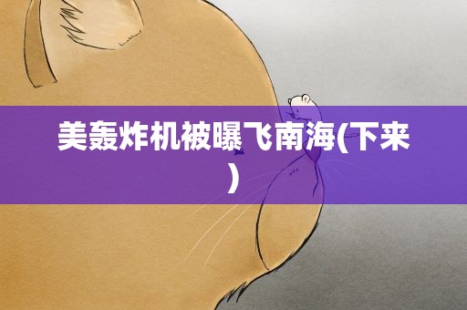 美轰炸机被曝飞南海(下来)