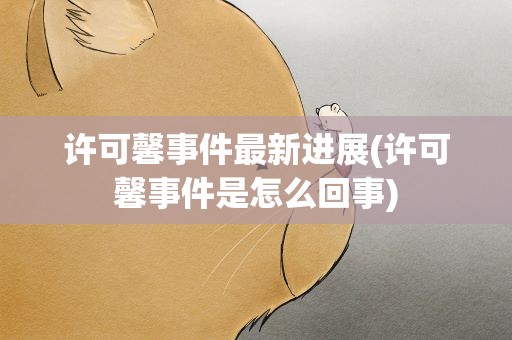 许可馨事件最新进展(许可馨事件是怎么回事)