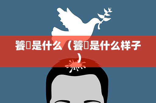 饕鬄是什么（饕鬄是什么样子）