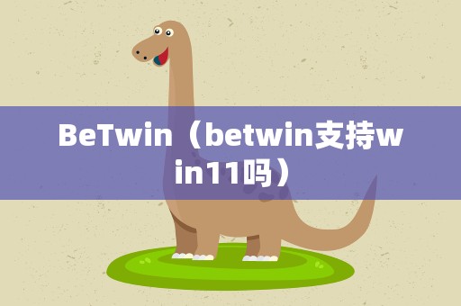 BeTwin（betwin支持win11吗）