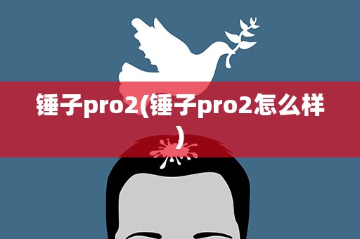 锤子pro2(锤子pro2怎么样)