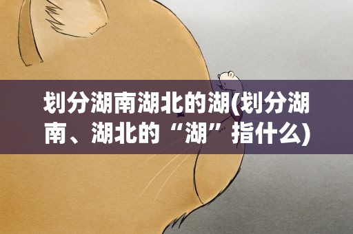 划分湖南湖北的湖(划分湖南、湖北的“湖”指什么)