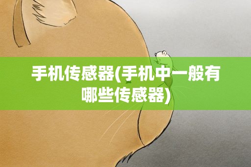 手机传感器(手机中一般有哪些传感器)