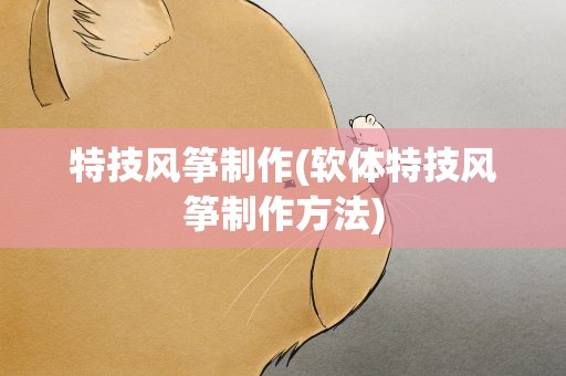 特技风筝制作(软体特技风筝制作方法)