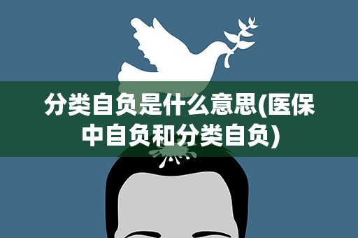分类自负是什么意思(医保中自负和分类自负)