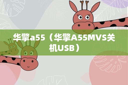 华擎a55（华擎A55MVS关机USB）