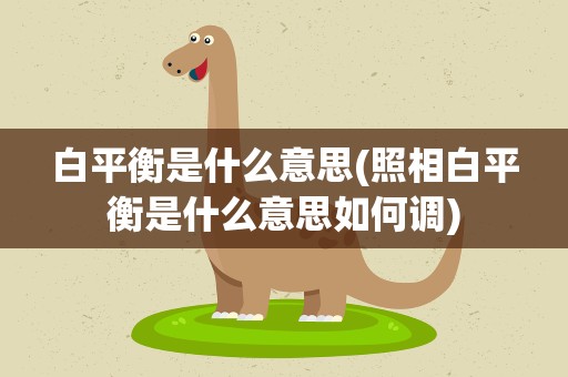 白平衡是什么意思(照相白平衡是什么意思如何调)