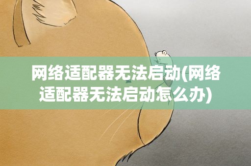 网络适配器无法启动(网络适配器无法启动怎么办)