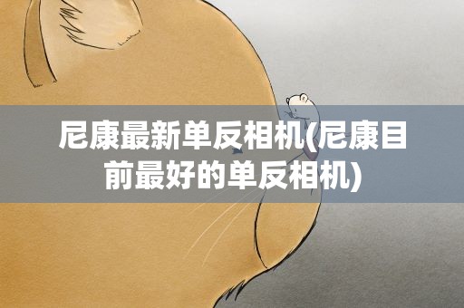尼康最新单反相机(尼康目前最好的单反相机)