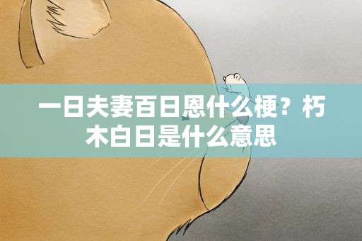一日夫妻百日恩什么梗？朽木白日是什么意思