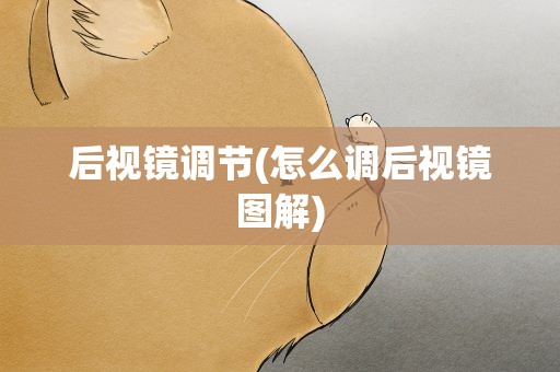 后视镜调节(怎么调后视镜图解)