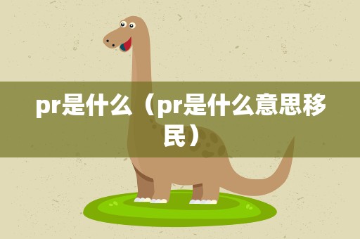 pr是什么（pr是什么意思移民）