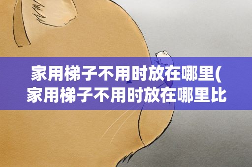家用梯子不用时放在哪里(家用梯子不用时放在哪里比较好)