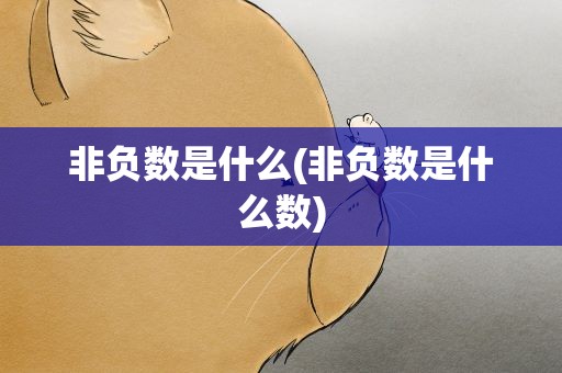 非负数是什么(非负数是什么数)