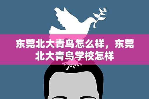 东莞北大青鸟怎么样，东莞北大青鸟学校怎样