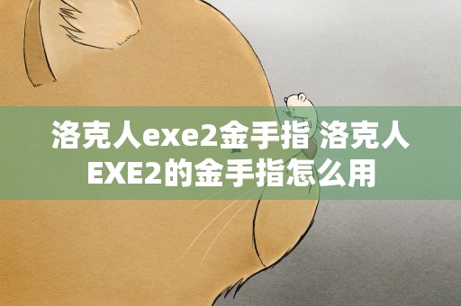 洛克人exe2金手指 洛克人EXE2的金手指怎么用