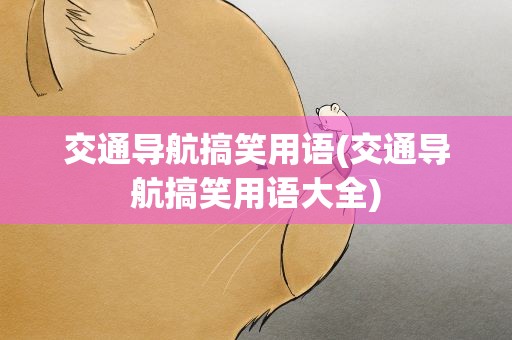 交通导航搞笑用语(交通导航搞笑用语大全)