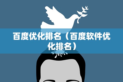 百度优化排名（百度软件优化排名）