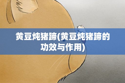 黄豆炖猪蹄(黄豆炖猪蹄的功效与作用)